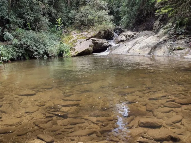 Sítio Rural com 9,86 alqueires (23,86 hectares) e chalé aconchegante em Campos de Cunha, S