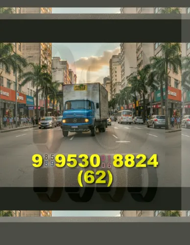 Frete rápido! Ligue Luiz e tenha segurança no seu transporte de cargas!