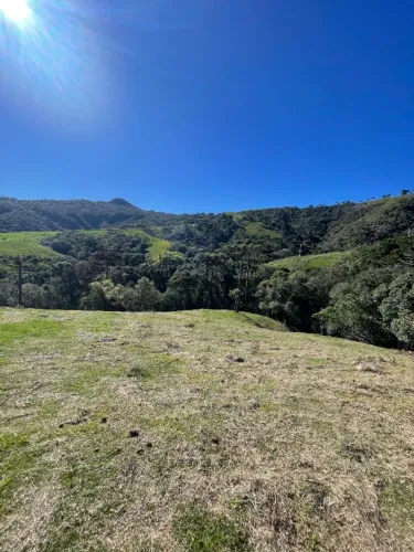 Area Rural Poucos kms da Cidade (aceita carro)
