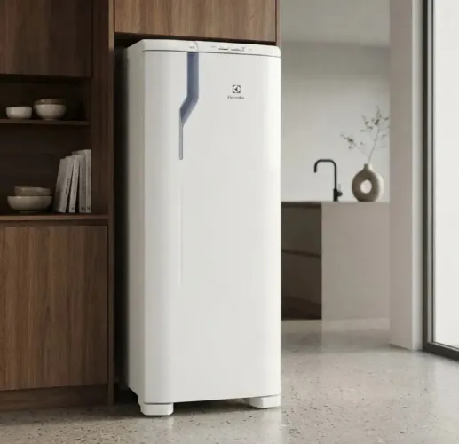 Geladeira Electrolux Cycle Defrost 240L Degelo 127v