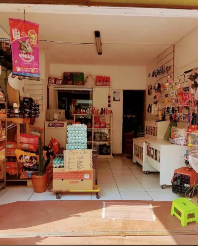 Intens de PET SHOP fechando loja
