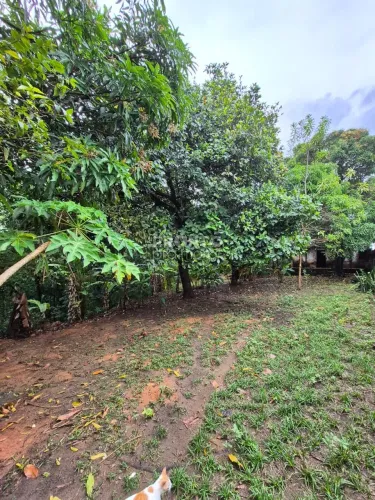 Lote/Terreno/Condomínio em Guabiraba