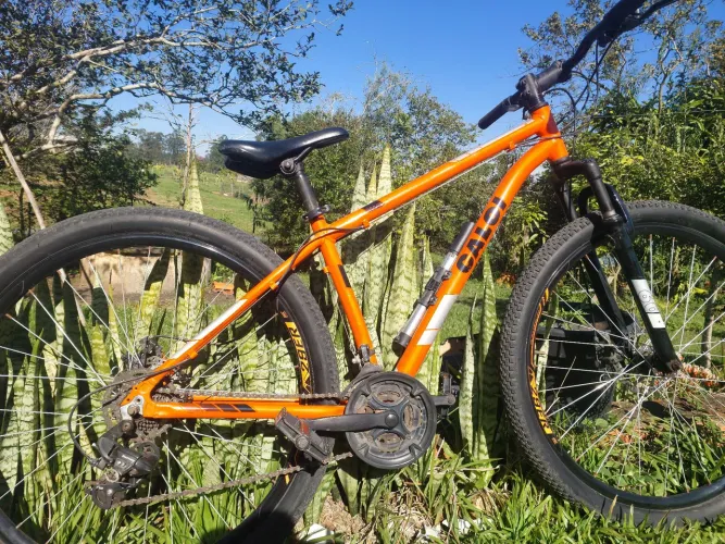 Bicicleta Caloi Aro 29
