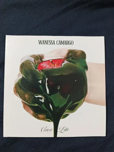 Wanessa Camargo single Caça Like promocional.