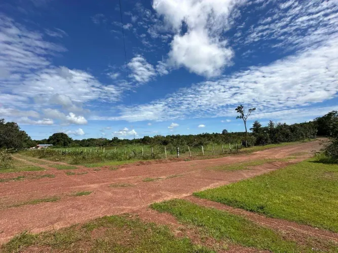 Fazenda à venda, FAZENDA, Figueirópolis, TO