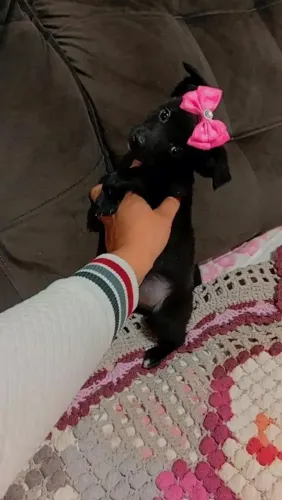 Feminha toda pretinha fofa