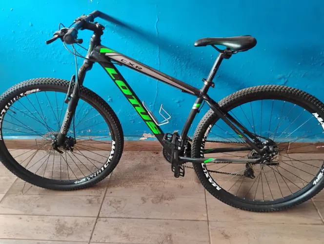 Bicicleta Lotus CXR Pro 29