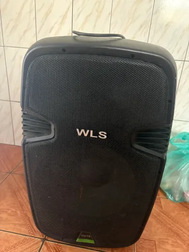 Caixa ativa + passiva 15? WSL