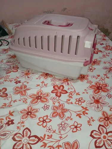 Viajante para pets