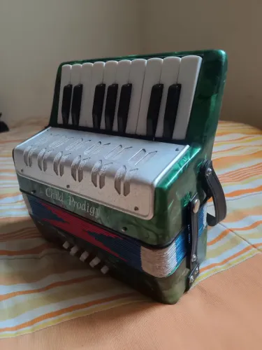 Acordeon/sanfona infantil