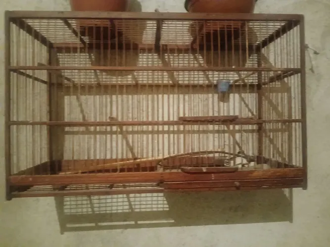 Gaiolas são 3 