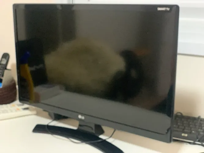 Smart TV Monitor LG 24" (24MT49S-PS)