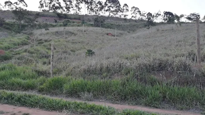 Terreno bairro vila Palmares