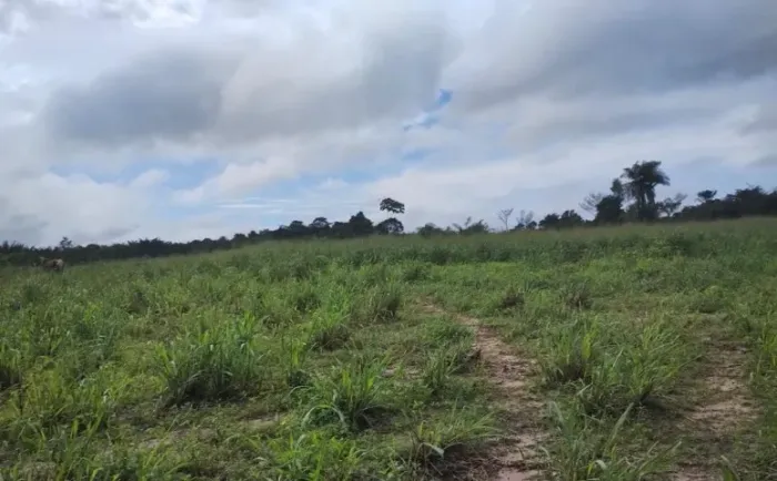 Vendo fazenda de 1.480ha de área total e 772ha de reserva legal. Fazenda toda documentada!