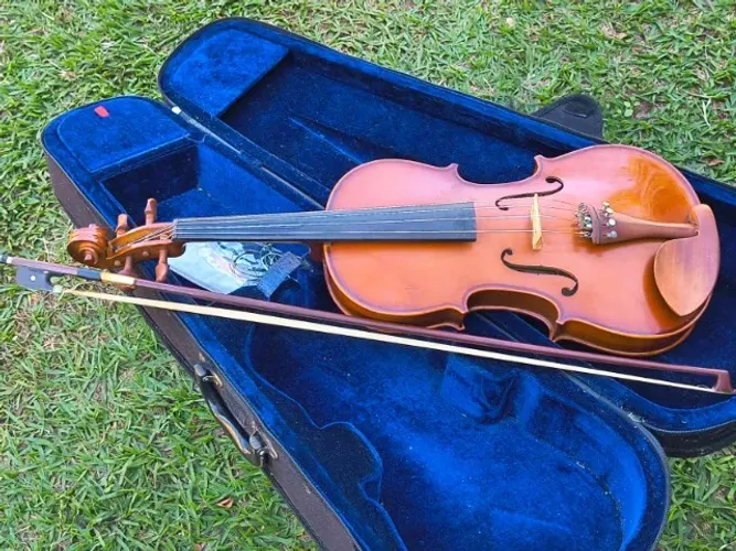 viola de arco VA150 eagle