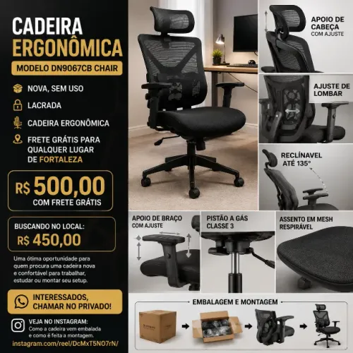 Cadeira Ergonômica 