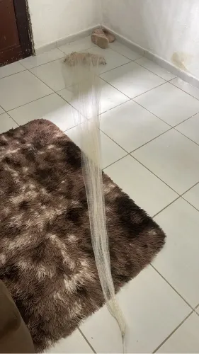 Vendo tarrafa piabera valor 550 tarrafa é feito a mão 