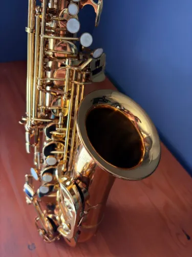 Saxofone alto Michael