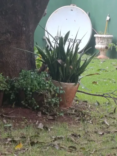 Antena da Embratel grande com acessórios