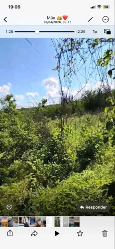 Vendo excelente terreno no Sítio Lucas, localizado por trás do Day Camp.