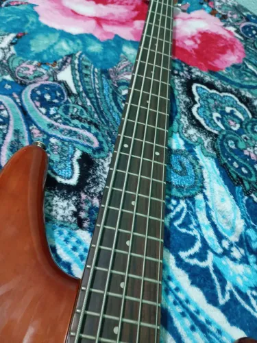 Baixo Ibanez g10