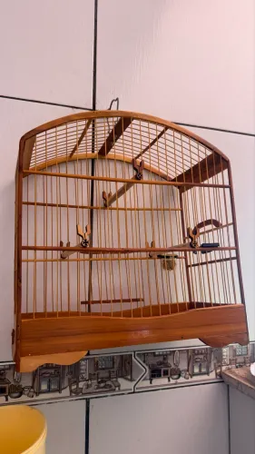 Gaiola 1 mês de uso 