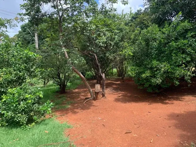 Chácara de 1.000m² plantada de arvores frutíferas, em frente a uma reserva ecológica.