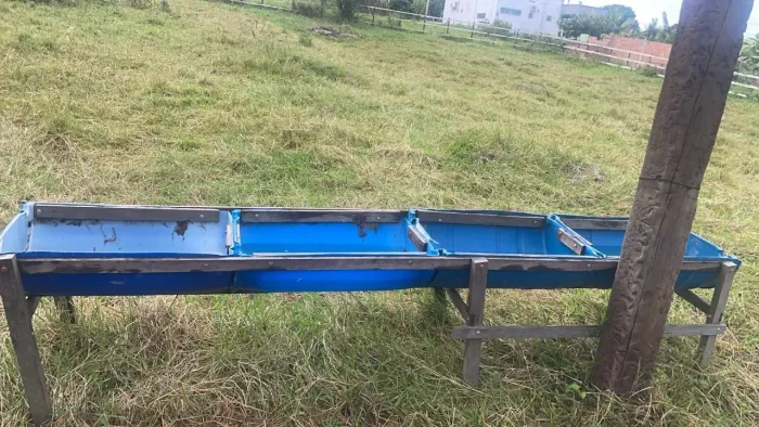 Cochos a venda 