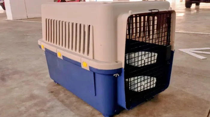 Caixa De Transporte Avião N3 / M (68x51x47 cm) Para Cães Até 16kg