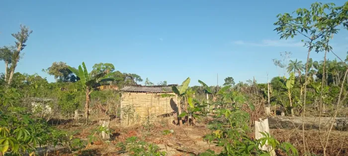 Verde-se uma lindo sítio