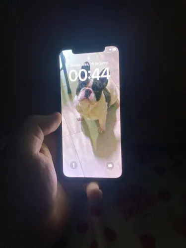 iPhone X