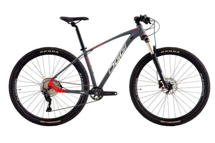 Bike Oggi 7.0