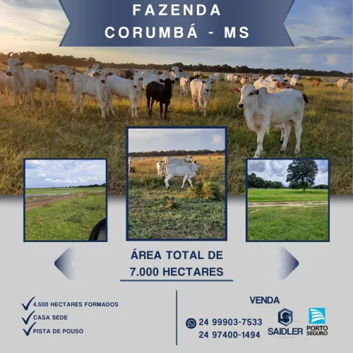 Fazenda em Corumbá MS, 7.000 hectares.