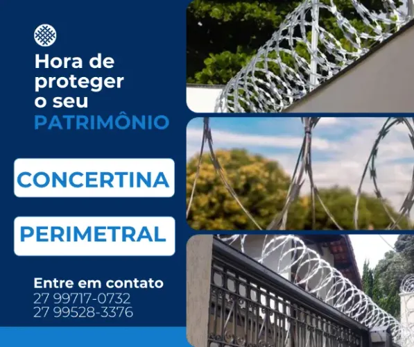 Concertina perimetral clipada