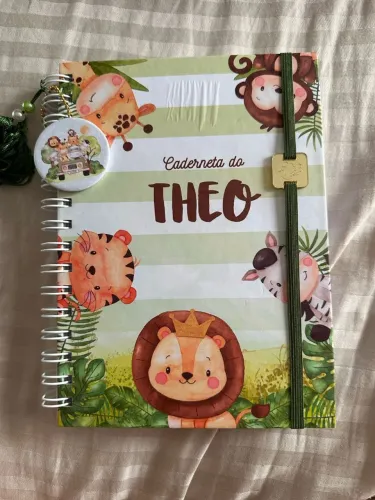 Caderneta do Theo - Vacinação