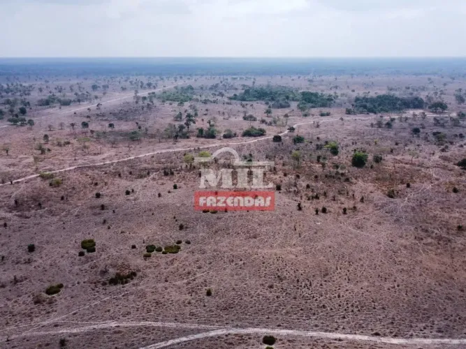 Fazenda 305 Alqueires (1.476 Hectares) Augustinopolis - TO