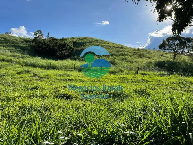Fazenda a venda em Goiás 145 Hectares ou 30 Alqueires Campinaçu - GO.