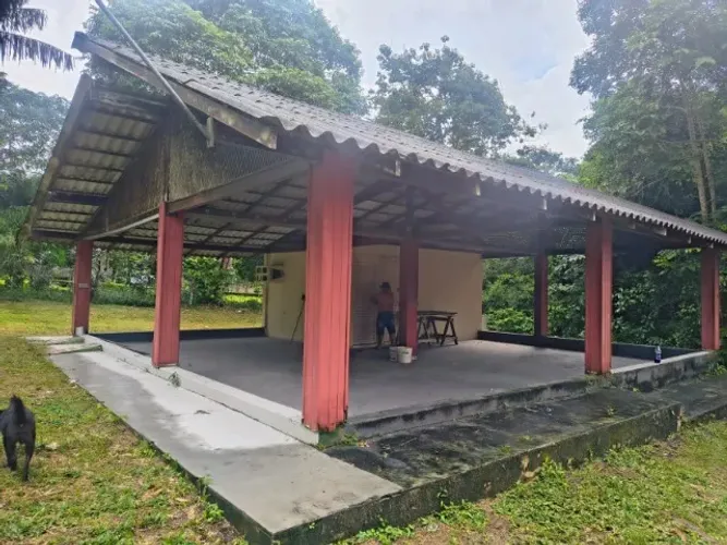 Vendo lindo sitio do Tarumã, com casa sede e igarapé - Somente à vista