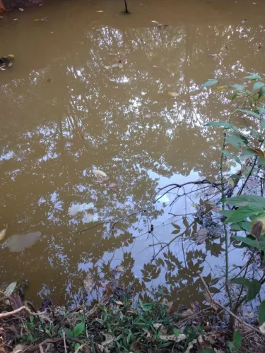 Chácara de 3.000m² entre Nerópolis e Ouro Verde de Goiás 