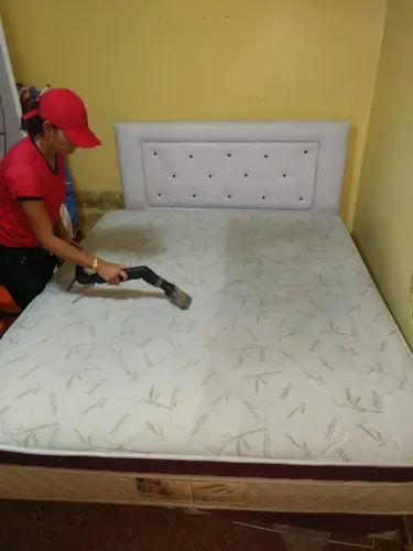 Removemos ácaros morfos fungos bactérias odores e toda sujeira da sua cama