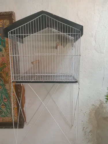 Gaiola