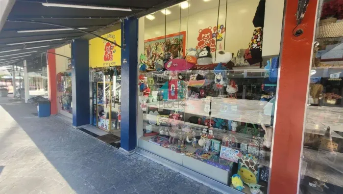 Recreio dos Bandeirantes | Loja