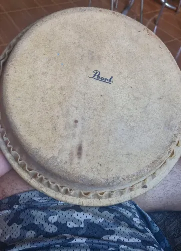 PELE DE COURO PEARL 11, CONGA PEARL PRIMEIRO DE FIBRA.