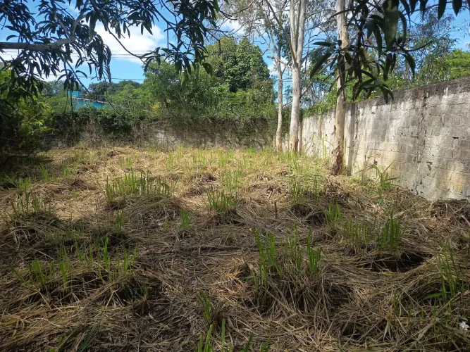 Terreno em Novo do Muru Carpina PE
