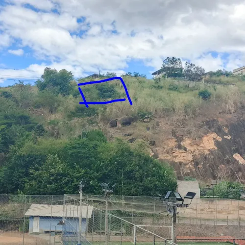 Terreno