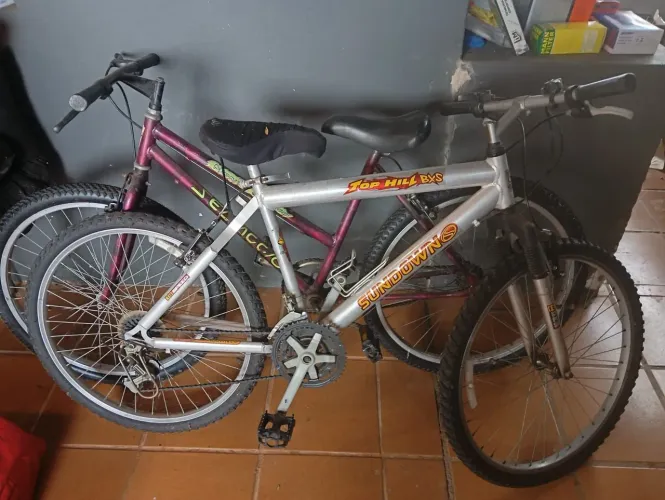 Bicicleta