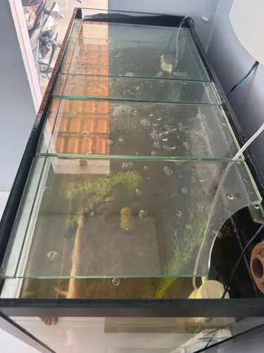 Aquário 250L + 2 filtros 