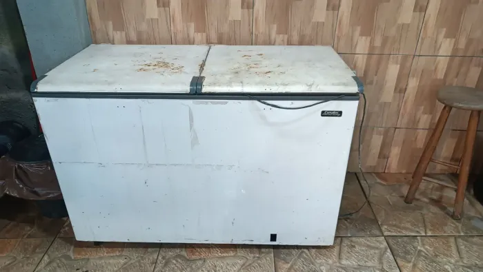 Freezer Esmaltec 127v