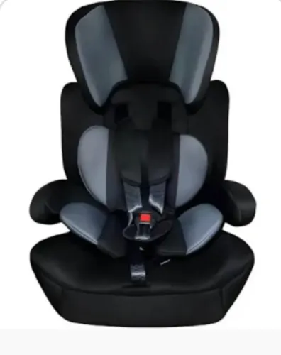 Cadeirinha 2 em 1 para carro