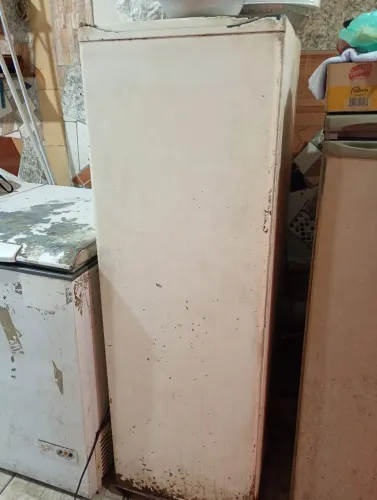 Freezer vertical
